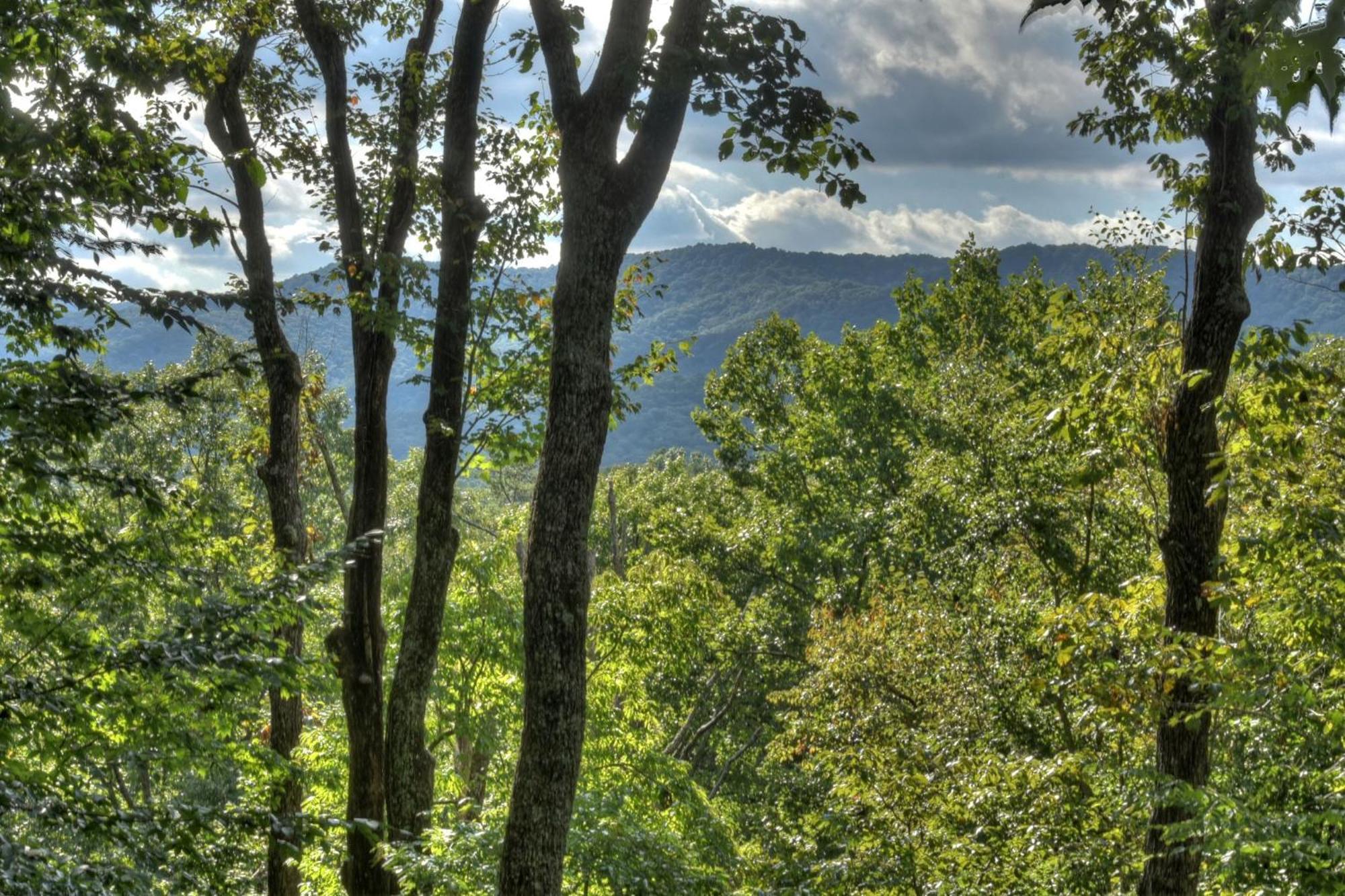 Bearfoot Ridge Wood-Burning Fireplace Cozy Hot Tub Serene Views Ellijay Eksteriør billede