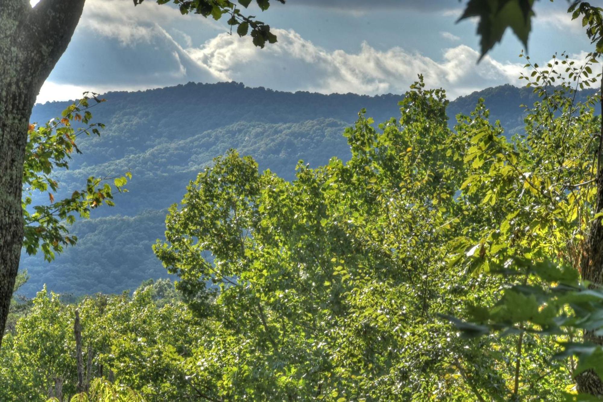Bearfoot Ridge Wood-Burning Fireplace Cozy Hot Tub Serene Views Ellijay Eksteriør billede